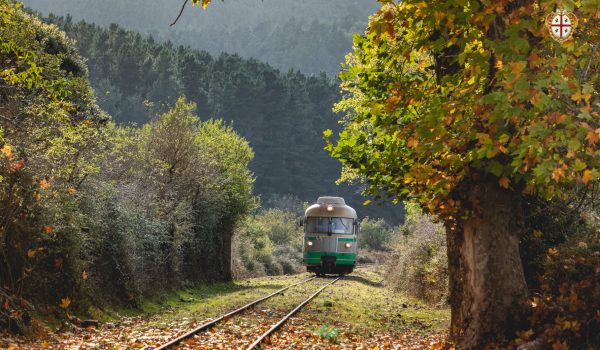 Trenino verde