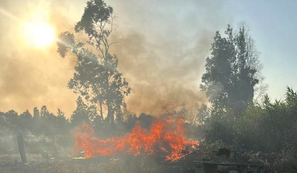 Incendio in Sardegna