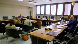 13_11_25 V Commissione Audizioni varie