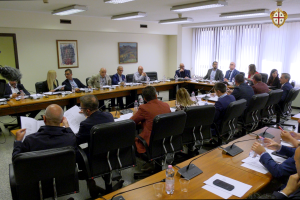 27_05_26 I e III Commissione ausione Cocco