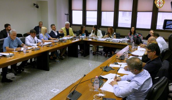 Nella foto la seconda commissione con la presidente Todde in audizione