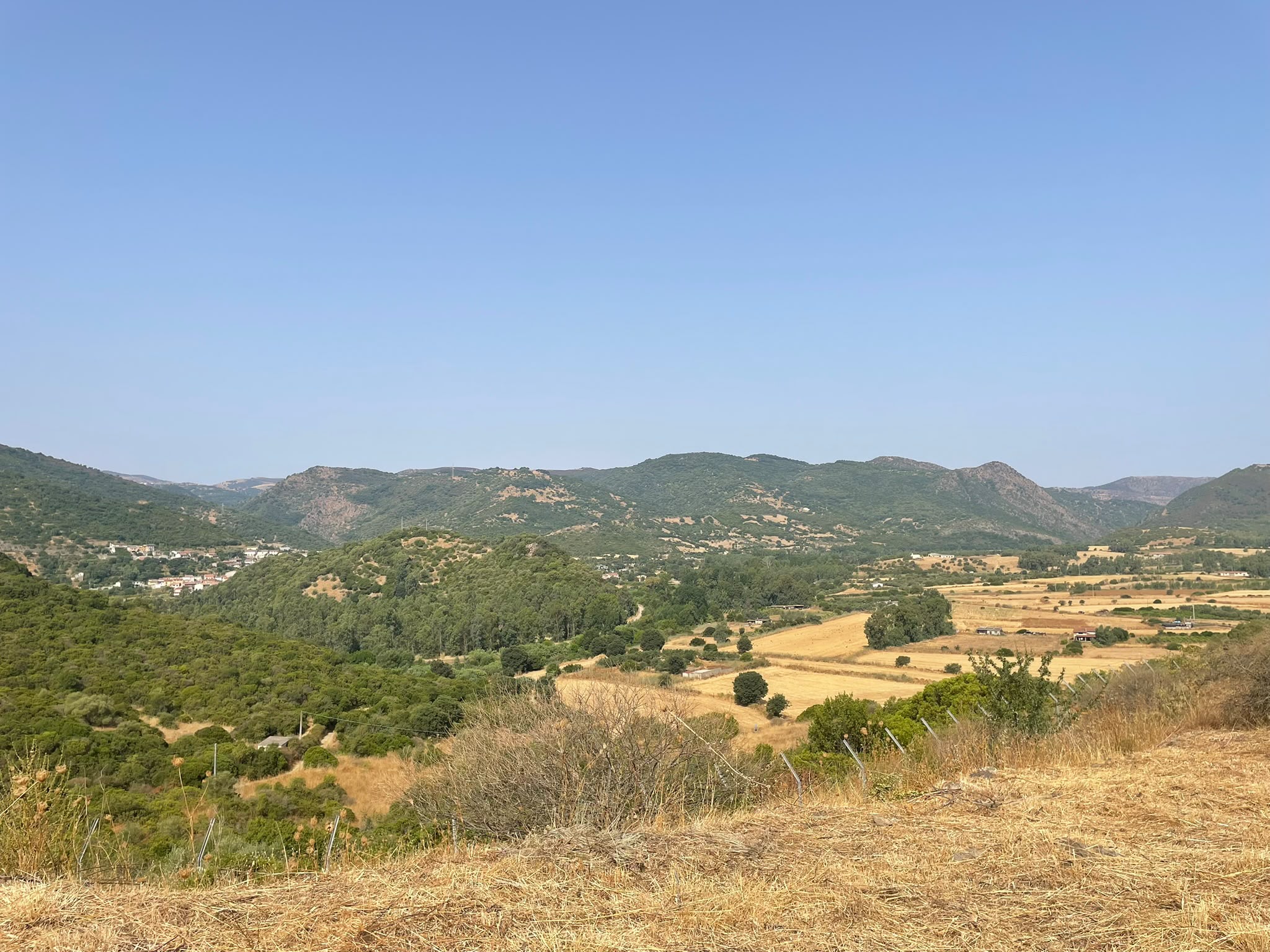 ACQUA - 23 LUGLIO 2026 - 06