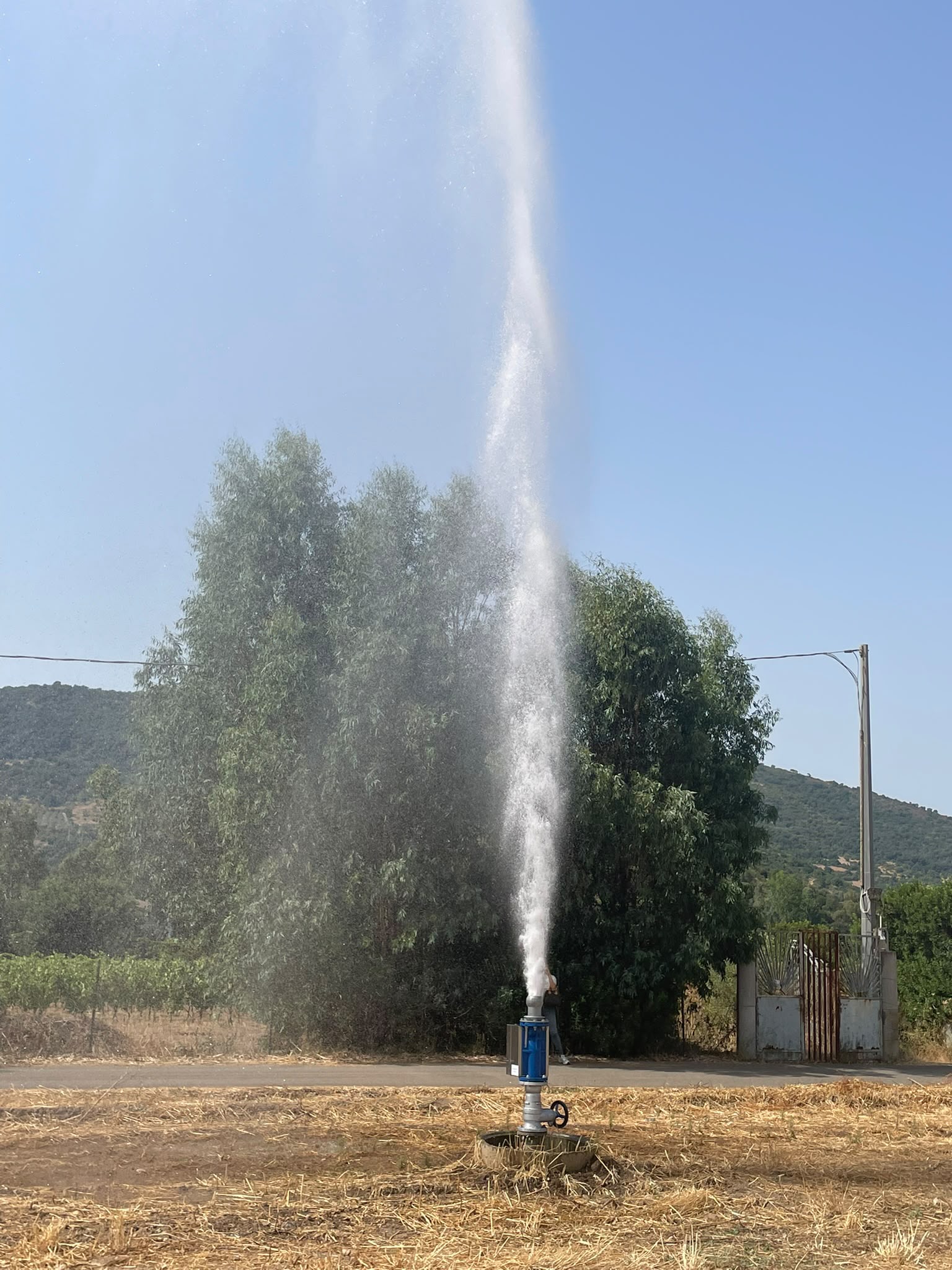 ACQUA - 23 LUGLIO 2026 - 11