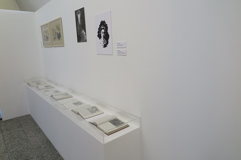 Galleria fotografica