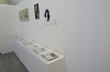 Galleria fotografica
